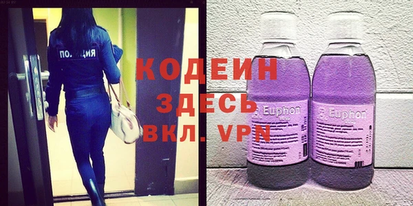 ECSTASY Бородино