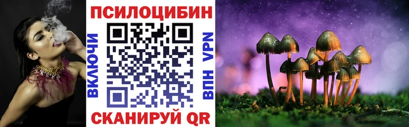 Псилоцибиновые грибы GOLDEN TEACHER  OMG рабочий сайт  Тырныауз 